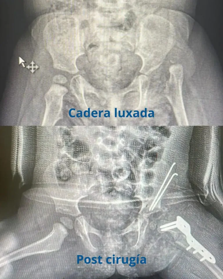 WhatsApp Image 2026-01-02 at 6.26